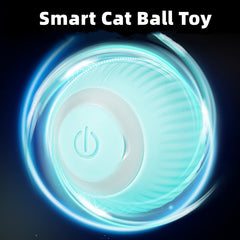 Smart interactive cat toy ball in action - Qobeyhub