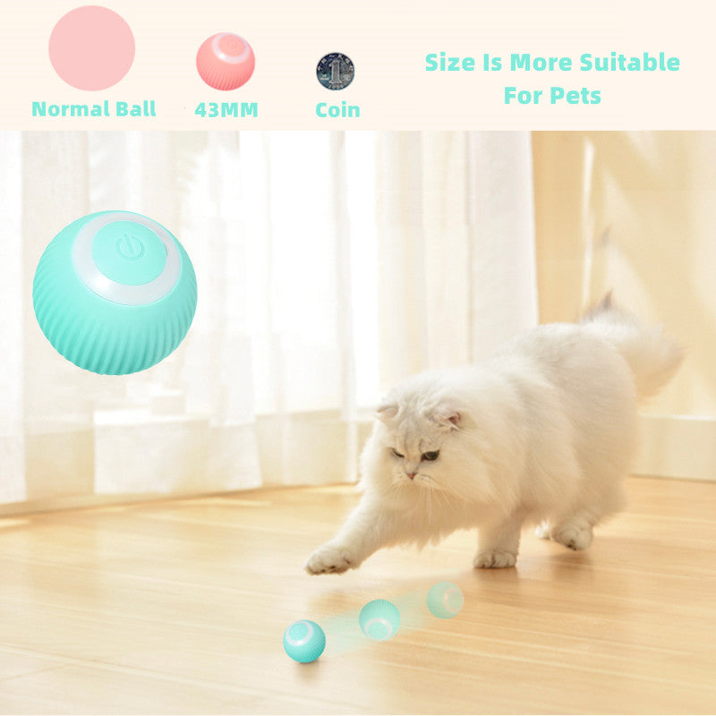 Smart interactive cat toy ball in action - Qobeyhub